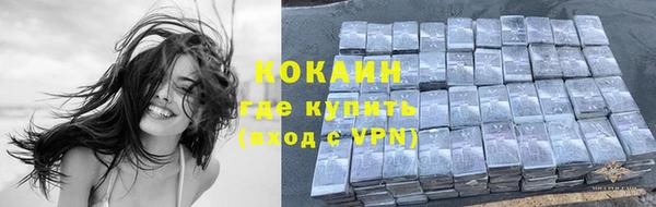 ПСИЛОЦИБИНОВЫЕ ГРИБЫ Касимов