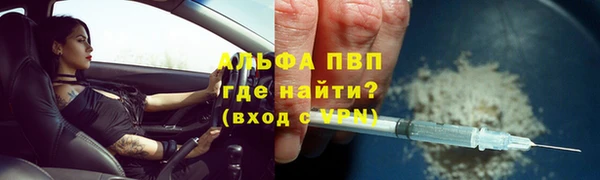 ПСИЛОЦИБИНОВЫЕ ГРИБЫ Касимов