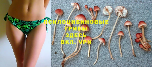 ПСИЛОЦИБИНОВЫЕ ГРИБЫ Касимов