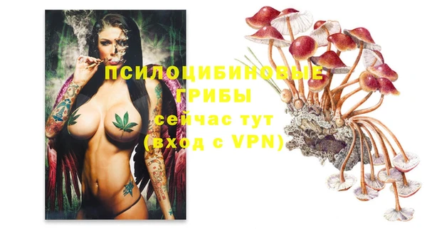 ПСИЛОЦИБИНОВЫЕ ГРИБЫ Касимов