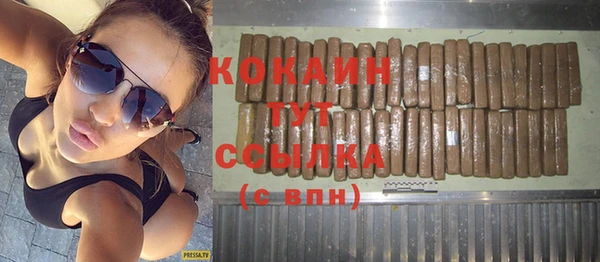 ПСИЛОЦИБИНОВЫЕ ГРИБЫ Касимов
