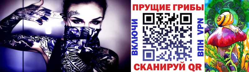 Псилоцибиновые грибы мухоморы  ссылка на мегу как войти  Нижнеудинск  наркота 