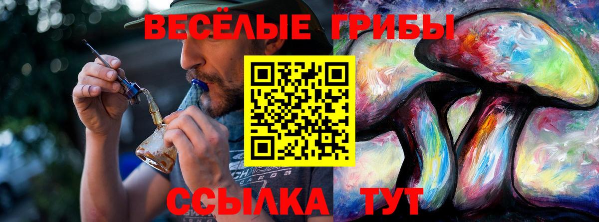 Галлюциногенные грибы MAGIC MUSHROOMS  Галлюциногенные грибы Psilocybe  Нижнеудинск  Вход с VPN 